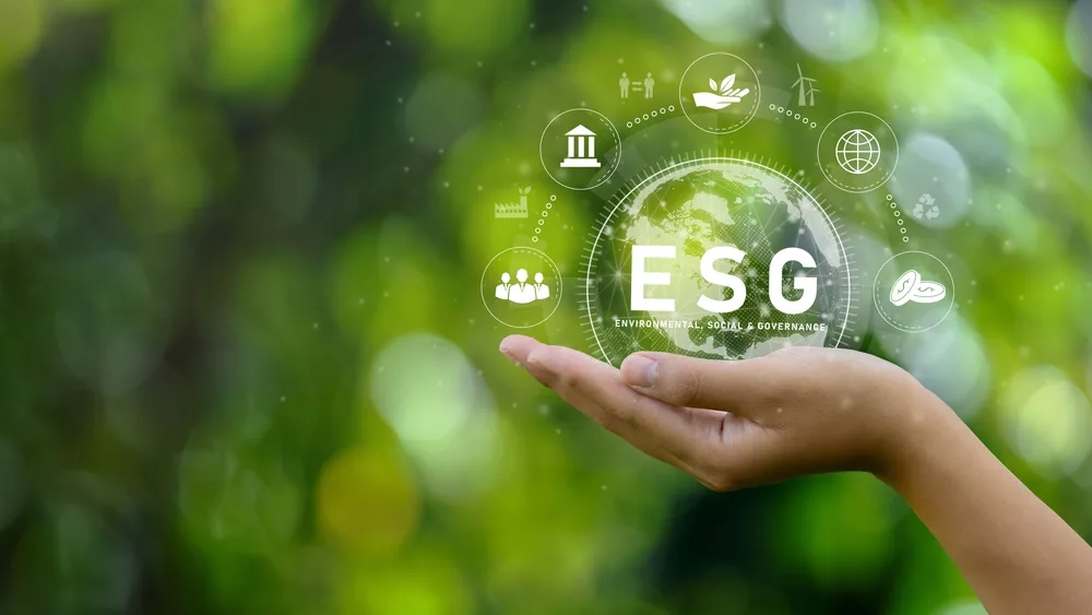 Components of an ESG strategy